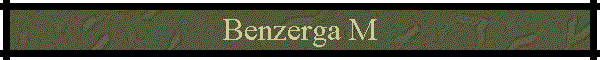 Benzerga M