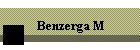 Benzerga M